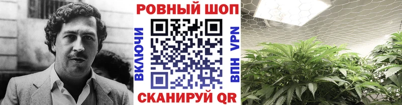 Магазины продажи наркотиков Пестово Cocaine  ГАШ  Alpha PVP  МАРИХУАНА 